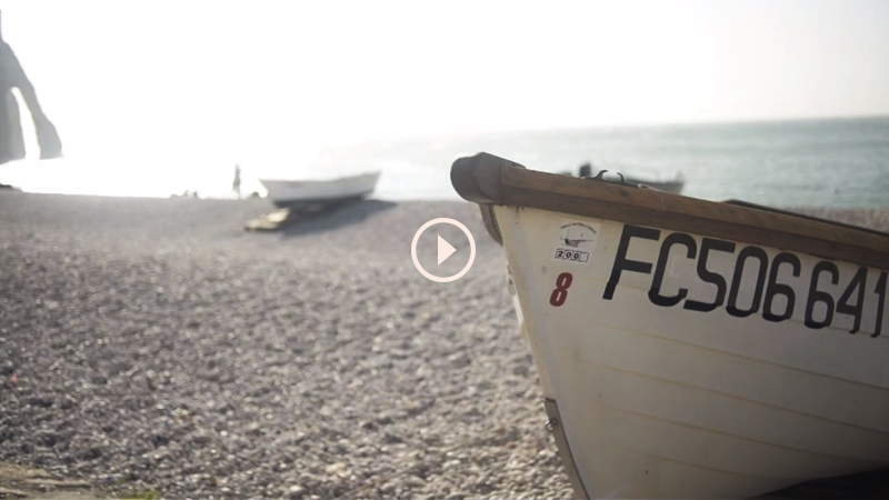 video hello birds 2013